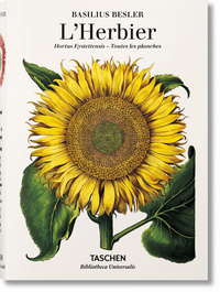 Picture of Basilius Besler. L'Herbier. Hortus Eystettensis