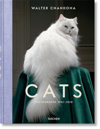 Image de Walter Chandoha. Cats. Photographs 1942–2018