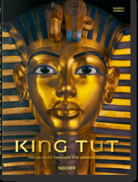 Picture of King Tut. The Journey through the Underworld