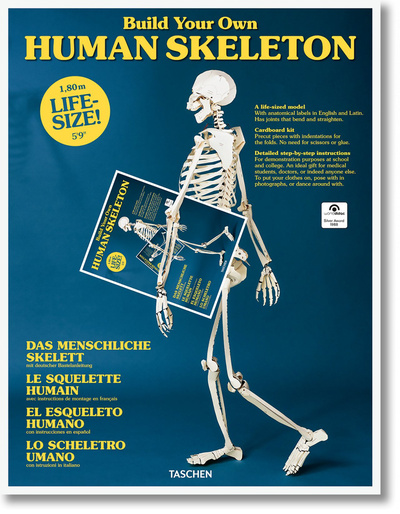 Picture of Build Your Own Human Skeleton