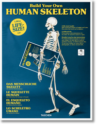 Picture of Build Your Own Human Skeleton