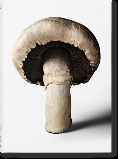 Picture of The Gourmand's Mushroom