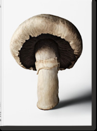 Picture of The Gourmand's Mushroom