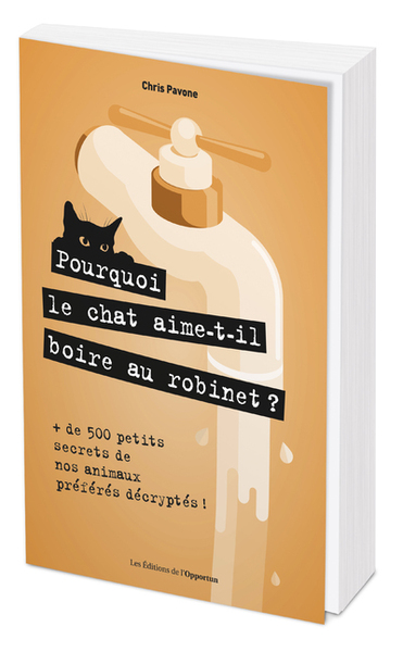 Image de Pourquoi le chat aime-t-il boire au robinet ?