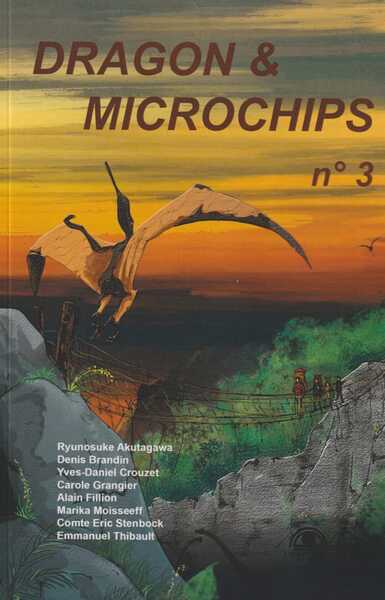 Image de Dragon & Microchips N°03