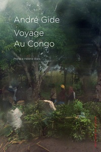 Image de Voyage au Congo