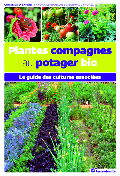 Picture of Plantes compagnes au potager bio