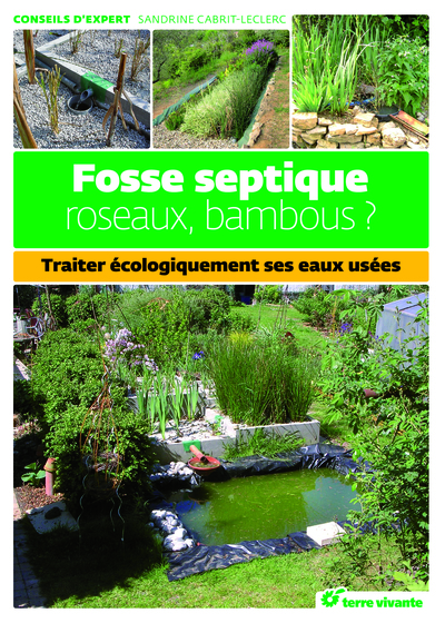 Image de Fosse septique, roseaux, bambous ?