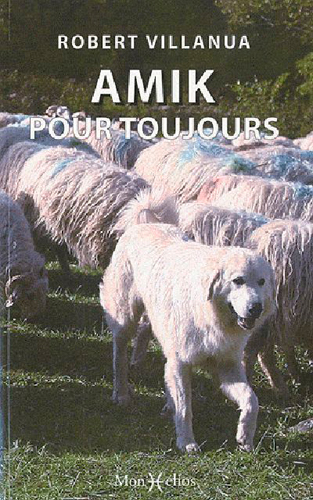 Picture of Amik pour toujours