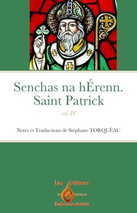 Image de Senchas na hÉrenn. vol. IV.