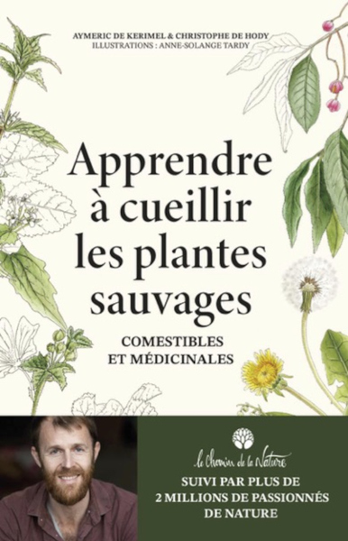 Picture of Apprendre à cueillir les plantes sauvages - Comestibles et m