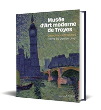 Image de Musée d’Art moderne de Troyes - Collections nationales? Pierre et Denise Lévy