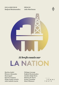 Image de 11 BREFS ESSAIS SUR LA NATION