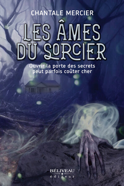 Picture of Les âmes du sorcier - Ouvrir la porte des secrets peut parfois coûter cher