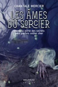 Picture of Les âmes du sorcier - Ouvrir la porte des secrets peut parfois coûter cher