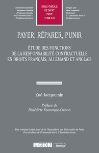 Image de Payer, réparer, punir