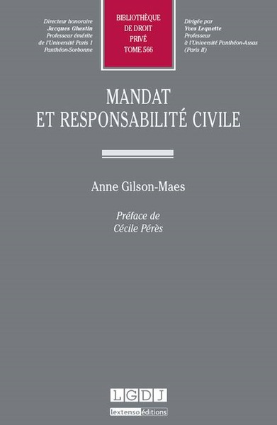 Image de mandat et responsabilité civile