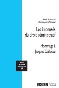 Picture of Les impensés du droit administratif