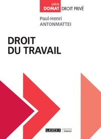 Picture of Droit du travail