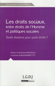 Picture of les droits sociaux, entre droits de l'homme et politiques sociales - quels titul