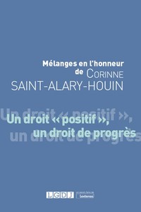 Picture of Mélanges en l'honneur de Corinne Saint-Alary-Houin
