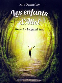 Image de LES ENFANTS D'ALIEL - TOME 1 : LE GRAND EVEIL