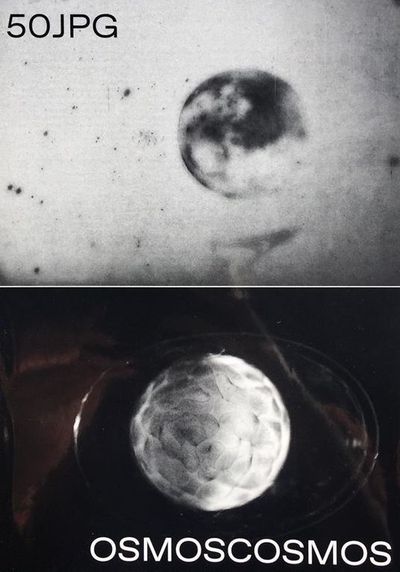 Image de Osmoscosmos