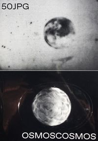 Image de Osmoscosmos