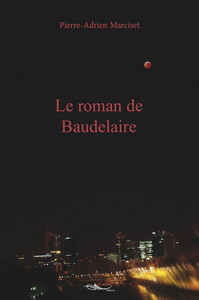 Image de Le roman de Baudelaire