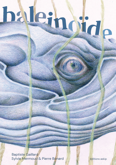 Image de Baleinoïde