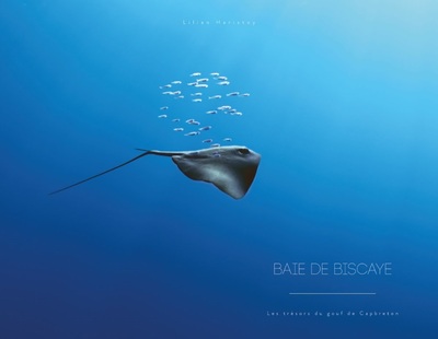 Picture of BAIE DE BISCAYE - LES TRÉSORS DU GOUF DE CAPBRETON