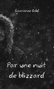 Picture of Par une nuit de blizzard