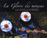Image de Gloire Des Mousses