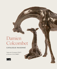 Picture of Damien Colcombet