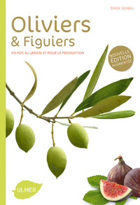 Image de Oliviers et figuiers (NE). En pot, en jardin et pour la production