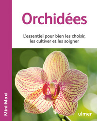 Image de Orchidées