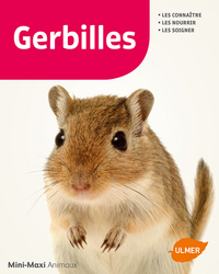 Image de Gerbilles