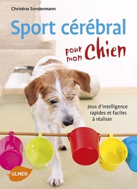 Image de Sport cérébral pour mon chien