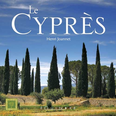 Picture of Le cyprès