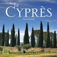 Picture of Le cyprès
