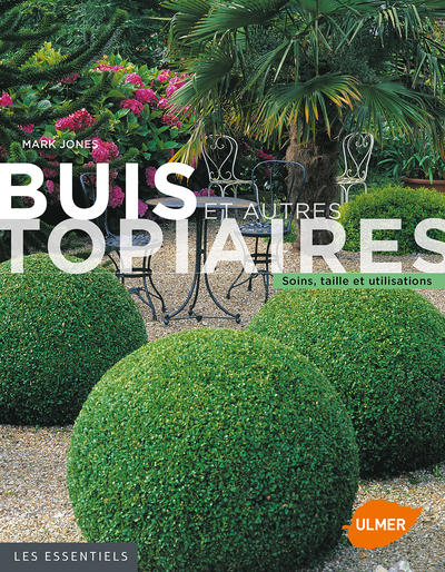 Image de Buis et autres topiaires