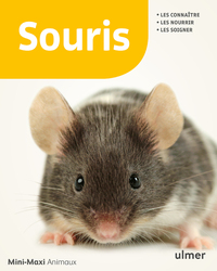 Image de Souris