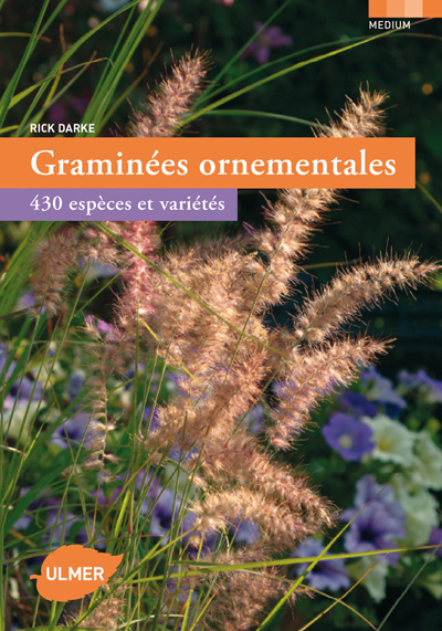 Image de Graminées ornementales