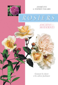 Image de Rosiers anciens et modernes : comment les choisir