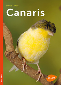 Image de Canaris