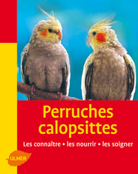 Image de Perruches Calopsittes