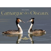 Picture of Camargue des oiseaux