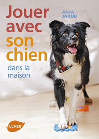 Image de Jouer avec son chien dans la maison