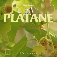 Picture of Le platane