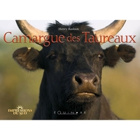 Image de Camargue des taureaux